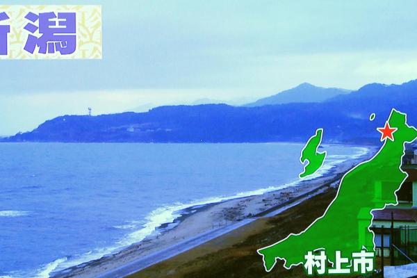 鮭の町、新潟県村上市
